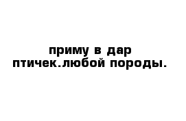 приму в дар птичек.любой породы.